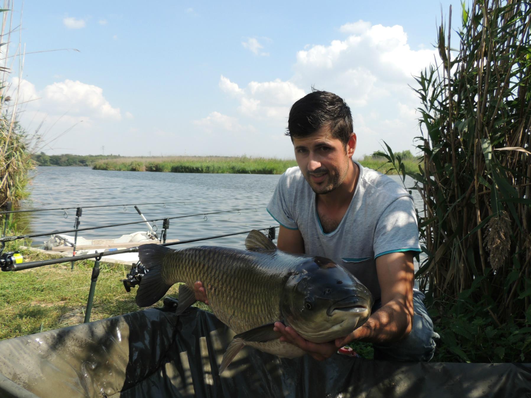 Tancabesti 12 - 14 sep. - 15.JPG